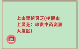 上山里挖灵芝(挖掘山上灵芝：珍贵中药资源大发掘)