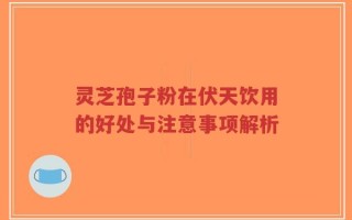 灵芝孢子粉在伏天饮用的好处与注意事项解析