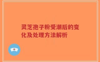 灵芝孢子粉受潮后的变化及处理方法解析
