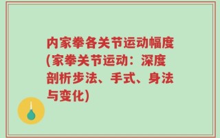 内家拳各关节运动幅度(家拳关节运动：深度剖析步法、手式、身法与变化)