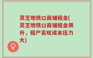 灵芝地铁口商铺租金(灵芝地铁口商铺租金飙升，租户哀叹成本压力大)