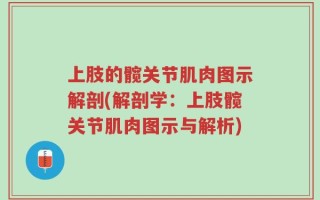 上肢的髋关节肌肉图示解剖(解剖学：上肢髋关节肌肉图示与解析)