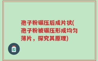 孢子粉碾压后成片状(孢子粉被碾压形成均匀薄片，探究其原理)