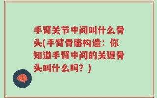 手臂关节中间叫什么骨头(手臂骨骼构造：你知道手臂中间的关键骨头叫什么吗？)