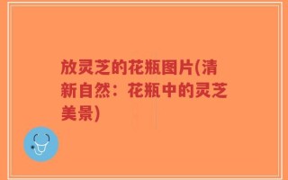 放灵芝的花瓶图片(清新自然：花瓶中的灵芝美景)