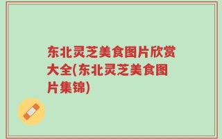 东北灵芝美食图片欣赏大全(东北灵芝美食图片集锦)