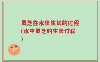灵芝在水里生长的过程(水中灵芝的生长过程)