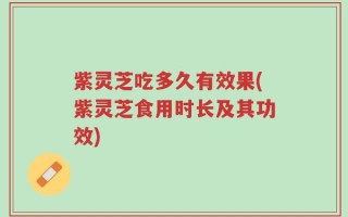 紫灵芝吃多久有效果(紫灵芝食用时长及其功效)