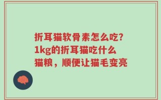 折耳猫软骨素怎么吃？1kg的折耳猫吃什么猫粮，顺便让猫毛变亮