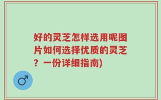 好的灵芝怎样选用呢图片如何选择优质的灵芝？一份详细指南)