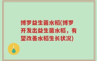 博罗益生菌水稻(博罗开发出益生菌水稻，有望改善水稻生长状况)