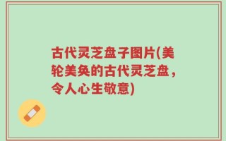 古代灵芝盘子图片(美轮美奂的古代灵芝盘，令人心生敬意)