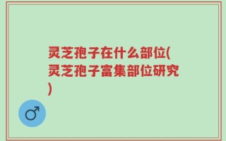 灵芝孢子在什么部位(灵芝孢子富集部位研究)