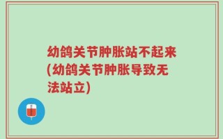 幼鸽关节肿胀站不起来(幼鸽关节肿胀导致无法站立)