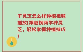干灵芝怎么样种植视频播放(跟随视频学种灵芝，轻松掌握种植技巧)