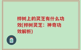 桦树上的灵芝有什么功效(桦树灵芝：神奇功效解析)
