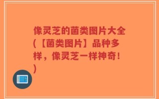 像灵芝的菌类图片大全(【菌类图片】品种多样，像灵芝一样神奇！)