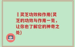 矴灵芝功效和作用(灵芝的功效与作用一览，让你也了解它的神奇之处)