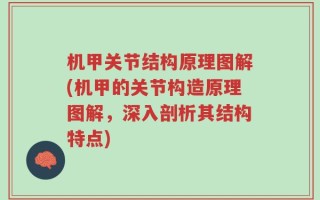 机甲关节结构原理图解(机甲的关节构造原理图解，深入剖析其结构特点)