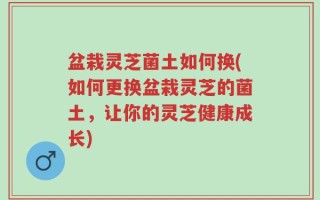 盆栽灵芝菌土如何换(如何更换盆栽灵芝的菌土，让你的灵芝健康成长)