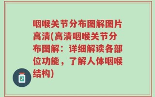 咽喉关节分布图解图片高清(高清咽喉关节分布图解：详细解读各部位功能，了解人体咽喉结构)
