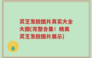 灵芝发胶图片真实大全大图(完整合集！精美灵芝发胶图片展示)