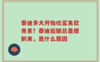 泰迪多大开始吃鲨鱼软骨素？泰迪后腿总是提前来，是什么原因