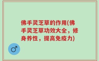 佛手灵芝草的作用(佛手灵芝草功效大全，修身养性，提高免疫力)