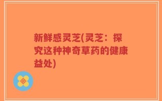 新鲜感灵芝(灵芝：探究这种神奇草药的健康益处)