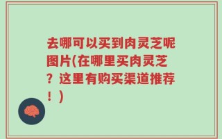 去哪可以买到肉灵芝呢图片(在哪里买肉灵芝？这里有购买渠道推荐！)