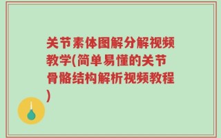 关节素体图解分解视频教学(简单易懂的关节骨骼结构解析视频教程)