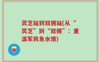 灵芝站到双拥站(从“灵芝”到“双拥”：重温军民鱼水情)