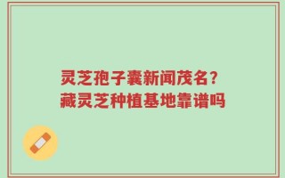 灵芝孢子囊新闻茂名？藏灵芝种植基地靠谱吗
