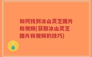 如何找到冰山灵芝图片和视频(获取冰山灵芝图片和视频的技巧)