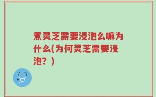 煮灵芝需要浸泡么嘛为什么(为何灵芝需要浸泡？)