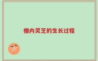 棚内灵芝的生长过程