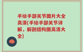 手绘手部关节图片大全高清(手绘手部关节详解，解剖结构图高清大全)