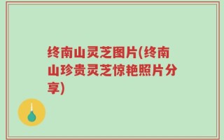 终南山灵芝图片(终南山珍贵灵芝惊艳照片分享)