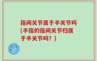 指间关节属于手关节吗(手指的指间关节归属于手关节吗？)