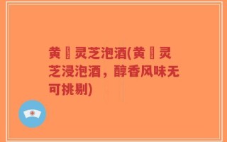 黄茋灵芝泡酒(黄茋灵芝浸泡酒，醇香风味无可挑剔)