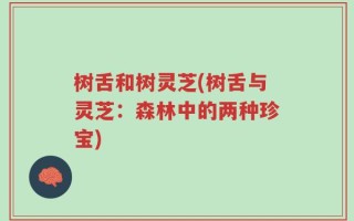 树舌和树灵芝(树舌与灵芝：森林中的两种珍宝)