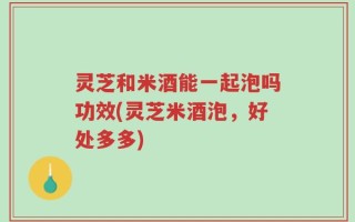 灵芝和米酒能一起泡吗功效(灵芝米酒泡，好处多多)