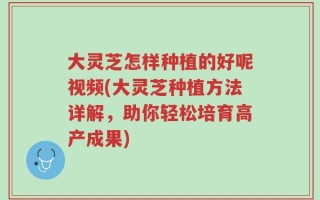大灵芝怎样种植的好呢视频(大灵芝种植方法详解，助你轻松培育高产成果)