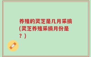 养殖的灵芝是几月采摘(灵芝养殖采摘月份是？)