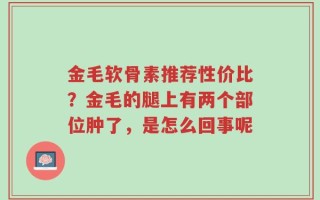 金毛软骨素推荐性价比？金毛的腿上有两个部位肿了，是怎么回事呢
