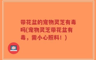 带花盆的宠物灵芝有毒吗(宠物灵芝带花盆有毒，需小心照料！)