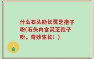 什么石头能长灵芝孢子粉(石头内含灵芝孢子粉，奇妙生长！)