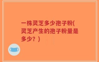 一株灵芝多少孢子粉(灵芝产生的孢子粉量是多少？)