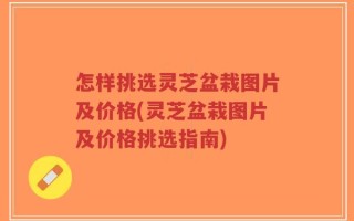 怎样挑选灵芝盆栽图片及价格(灵芝盆栽图片及价格挑选指南)