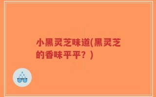 小黑灵芝味道(黑灵芝的香味平平？)